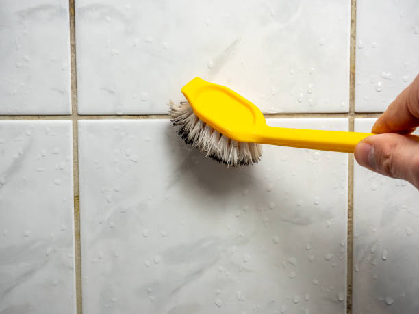 Best Insurance-Related Mold Remediation in Granite Falls, MN