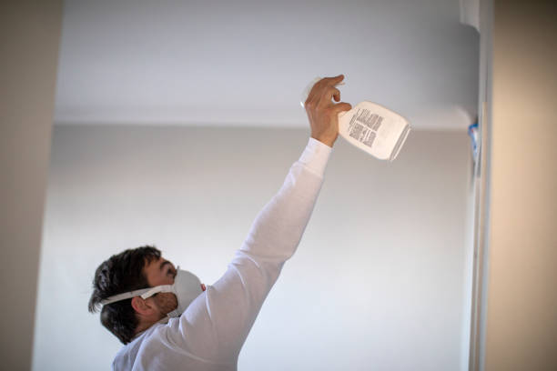 Best Mold Testing and Inspection Services in Granite Falls, MN