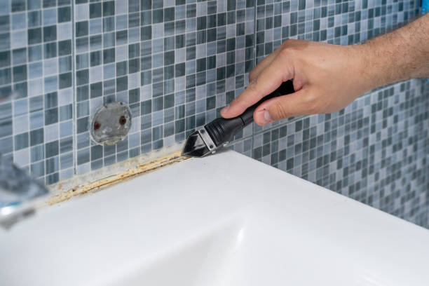 Best Commercial Mold Remediation in Granite Falls, MN